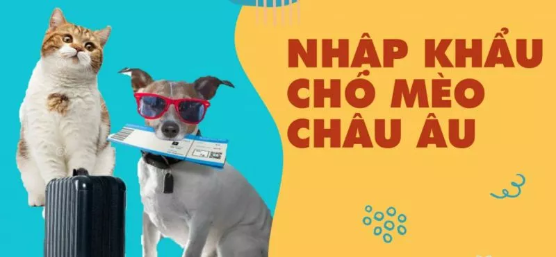 Vì sao cần thực hiện thủ tục xuất nhập cảnh cho chó mèo