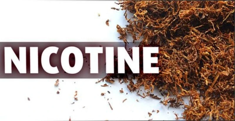 Chất nicotine có trong thuốc lá