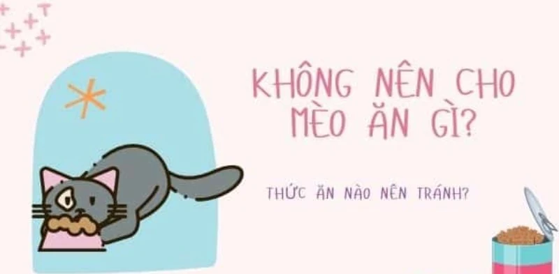 Không nên cho mèo ăn cần sa